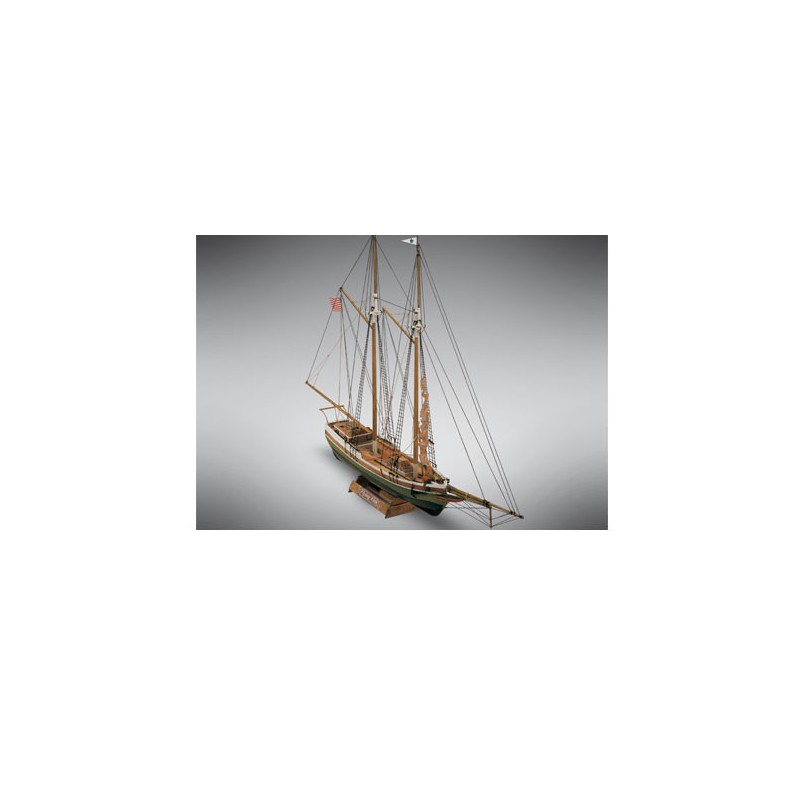 Statische Bootsfliegerfisch - Scientific-MHD