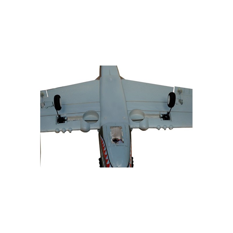 Avions électrique radiocommandé P-40 WARHAWK EP ARF