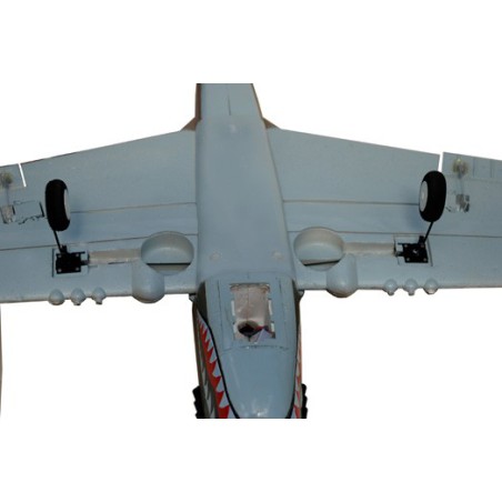 Draft electric aircraft P-40 Warhawk EP ARF | Scientific-MHD