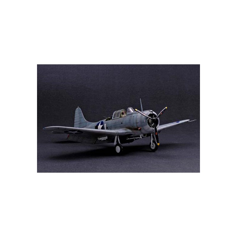 Maquette d'avion en plastique SBD-5/A-24B "DAUNTLESS"