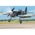 SPITFIRE 33-35cc arf radio-controlled thermal airplane | Scientific-MHD