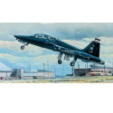 Plastikflugzeugmodell T-38A Talon | Scientific-MHD