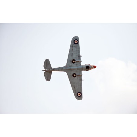 Radio-controlled thermal aircraft P-40C Tomahawk 60cc ARF | Scientific-MHD