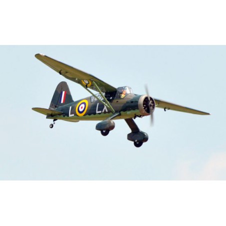 Westland Lysander 33CC ARF Radio -kontrollierte Wärmeflugzeuge | Scientific-MHD