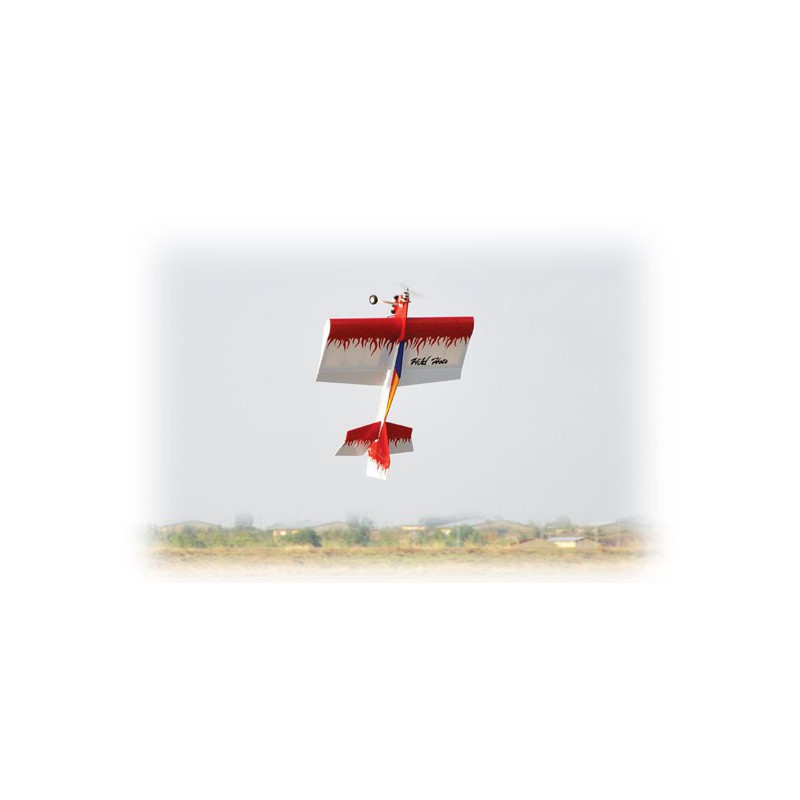Avions électrique radiocommandé WILD HOTS EP ARF