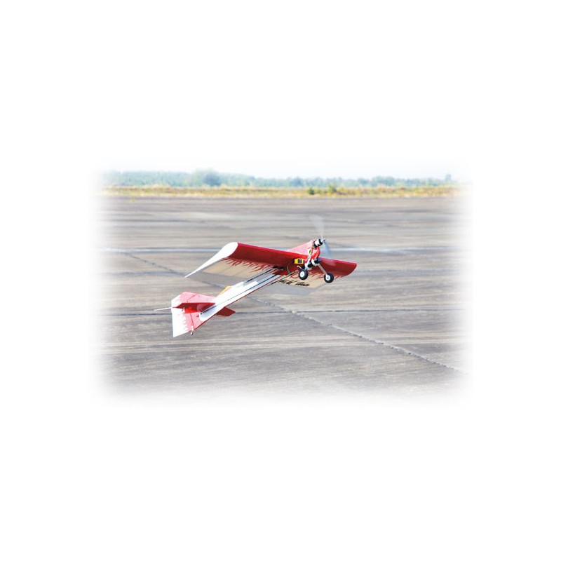 Avions électrique radiocommandé WILD HOTS EP ARF