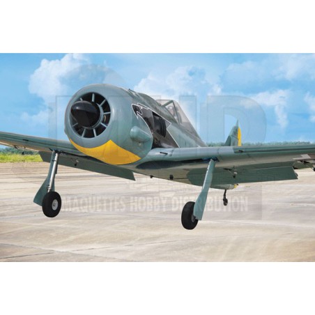 Radio -controlled thermal airplane Focke Wulf 120 GP ARF | Scientific-MHD