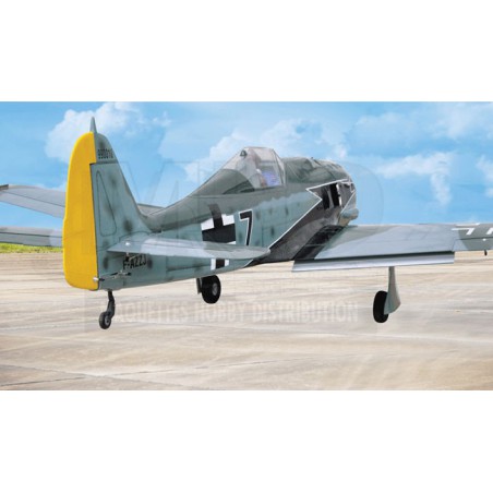 Radio -controlled thermal airplane Focke Wulf 120 GP ARF | Scientific-MHD