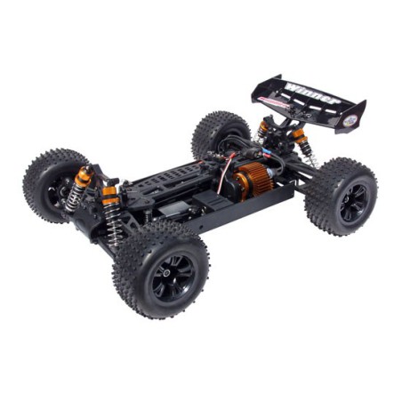 Buggy -Gewinner RTR 1/10 Radio -kontrolliertes Elektroauto | Scientific-MHD