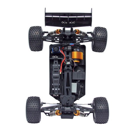 Truggy -Gewinner RTR 1/10 Radio -kontrolliertes Elektroauto | Scientific-MHD