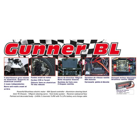 Gunner V2 BL RTR 1/8 A electric car | Scientific-MHD