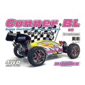 Gunner BL RTR 1/8 V1 radio -controlled electric car | Scientific-MHD