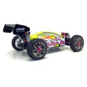 Gunner BL RTR 1/8 V1 radio -controlled electric car | Scientific-MHD