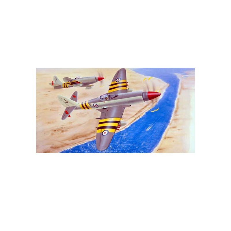 Maquette d'avion en plastique WYVERN S.4 Maquette d'avion en plastique WYVERN S.4