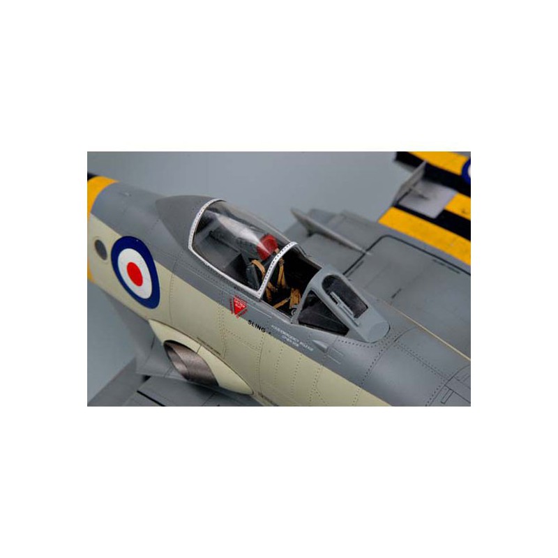 Maquette d'avion en plastique WYVERN S.4 Maquette d'avion en plastique WYVERN S.4