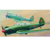 Yak-18 max plastic plane model | Scientific-MHD