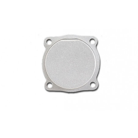 Part for thermal engine Carter 20fp plug, 25fp | Scientific-MHD