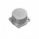 Part for thermal engine Carter plug 21RG | Scientific-MHD