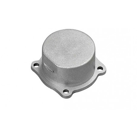 Part for thermal engine Carter plug 21RG | Scientific-MHD
