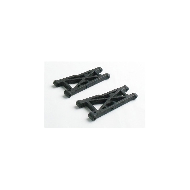 Pièce pour voiture electrique tous chemin 1/10 Bras  suspension arrière inf