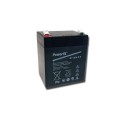 Accus au plomb pour appareil radiocommandé Batterie au Plomb 12V 4,5Ah