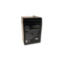 Lead batteries for radio controlled device 6V 4 Ah lead battery | Scientific-MHD