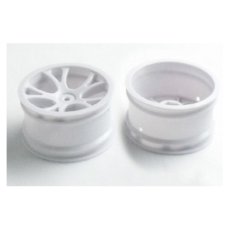 Electric car room all path 1/10 Buggy rear rims | Scientific-MHD