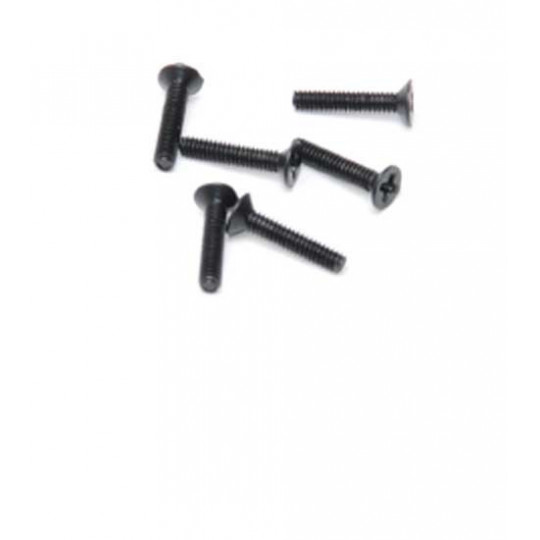 Stück für elektrische Buggy 1/18 Texas M2X10 Straiseworthy Sonders (6PCs) Stück für elektrische Buggy 1/18 Texas M2X10 Straiseworthy Sonders (6PCs) | Scientific-MHD