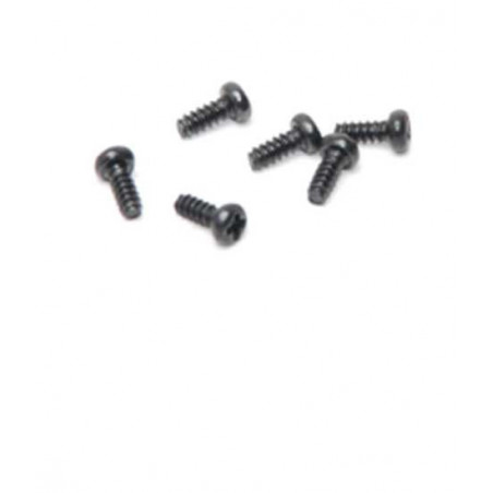 Piece for Electric Buggy 1/18 Texas Round screw M2X4 (6pcs) | Scientific-MHD