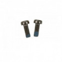 Part for thermal engine 10F fixing screw | Scientific-MHD