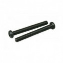 Part for thermal engine Silent screws 20FP | Scientific-MHD