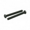 Part for thermal engine Silent screws 20FP | Scientific-MHD
