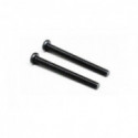 Part for thermal engine Silent screw 35FP | Scientific-MHD