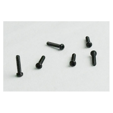 Part for electric car all path 1/10 Parker screw 2*10 6pcs | Scientific-MHD