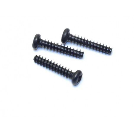 Electric car room all path 1/10 Parker screw round head 3 x15 | Scientific-MHD