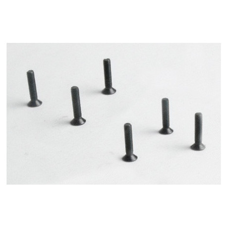 Part for electric car all path 1/10 flat screw m3*14 6pcs | Scientific-MHD