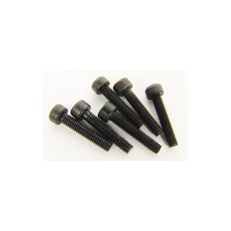 Part for thermal car all path 1/5 Hexagon head screw. 4x20 (6 pcs) | Scientific-MHD