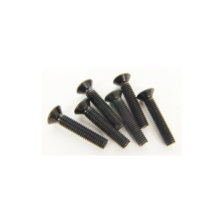 Part for thermal car all path 1/5 flat head screw 5 x 25 (6 pcs) | Scientific-MHD