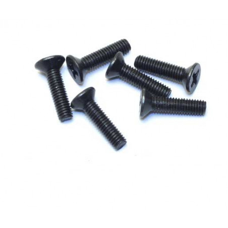 Part for electric car all path 1/10 flat head screw m3x10 (6 pcs) | Scientific-MHD