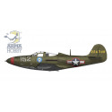 copy of Maquette plastique d'avion P-51B Mustang 1/72 | Scientific-MHD