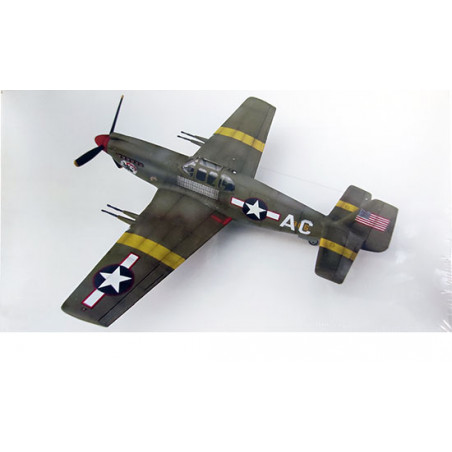 Maquette d'avion en plastique F-6A Mustang Tac-Recce Fighter 1/48