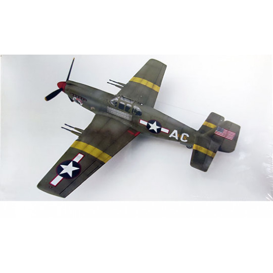 Maquette d'avion en plastique F-6A Mustang Tac-Recce Fighter 1/48 Maquette d'avion en plastique F-6A Mustang Tac-Recce Fighter 1/48
