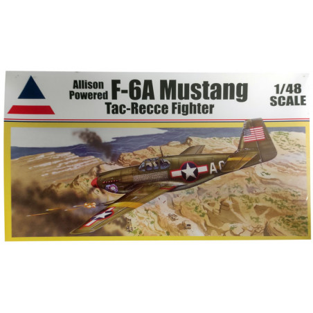 F-6A Kunststoffebene Modell TAC-Recce Fighter 1/48 | Scientific-MHD