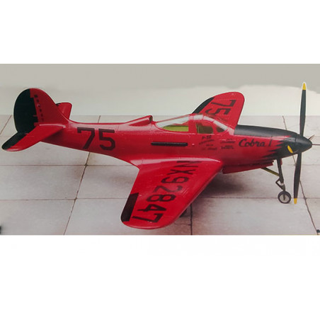 P-39Q plastic plane model Airacobra Skylanes Unlimited Race Team 1/48 | Scientific-MHD