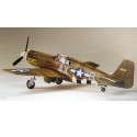 Maquette d'avion en plastique F-6B Mustang 1/48