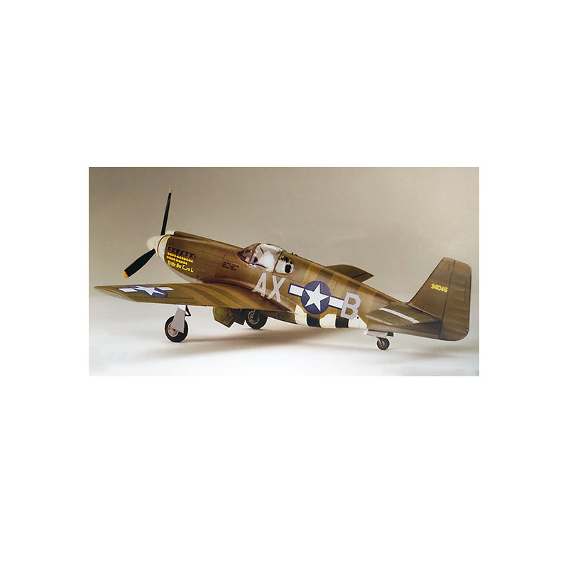 Maquette d'avion en plastique F-6B Mustang 1/48