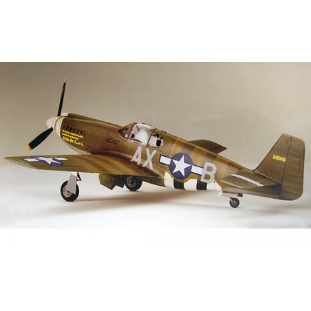 Maquette d'avion en plastique F-6B Mustang 1/48