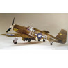 Maquette d'avion en plastique F-6B Mustang 1/48