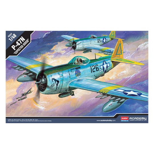 Maquette d'avion en plastique P-47N Expected Goose 1/48 Maquette d'avion en plastique P-47N Expected Goose 1/48