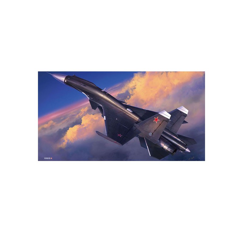 Maquette d'avion en plastique Su-33 FLANKER D 1/72